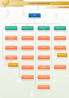 Company Organizational Chart examples